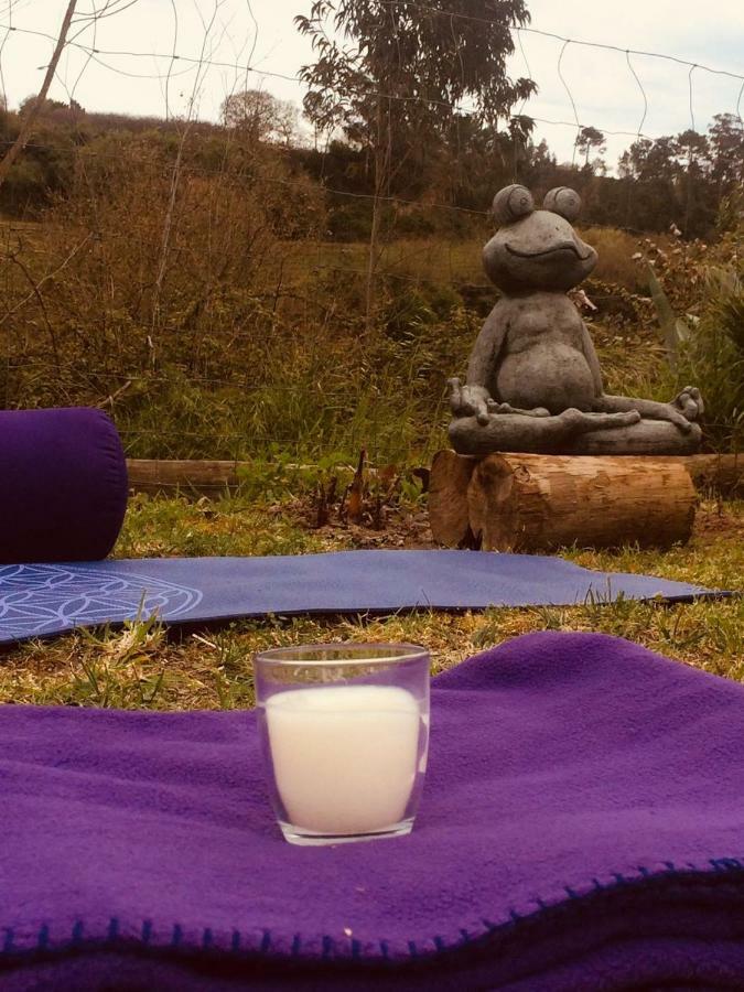 Quinta Da Vida Serena Gaio Kültér fotó
